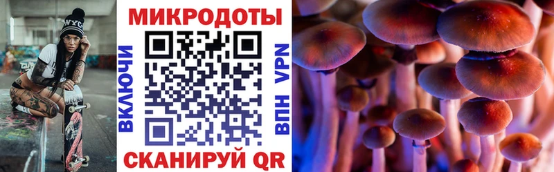 Псилоцибиновые грибы ЛСД  дарнет шоп  Нижний Тагил 