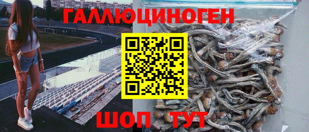 Псилоцибиновые грибы мицелий Нижний Тагил