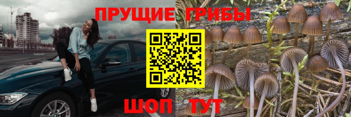 Псилоцибиновые грибы ЛСД  Вход с VPN  Нижний Тагил 